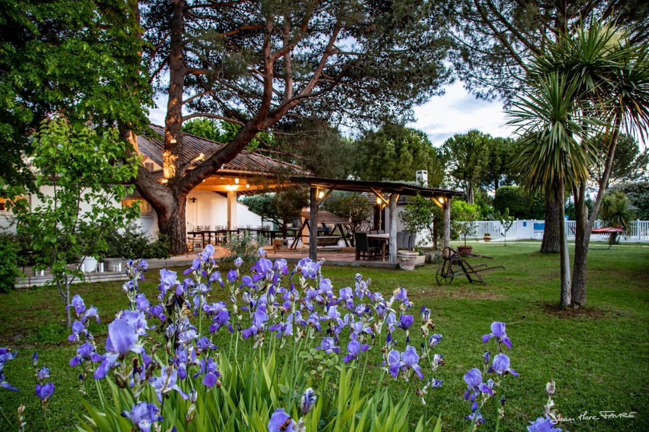 Lou Garbin Hotel Saint-Laurent-d'Aigouze Ngoại thất bức ảnh