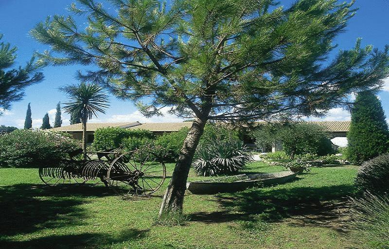 Lou Garbin Hotel Saint-Laurent-d'Aigouze Ngoại thất bức ảnh